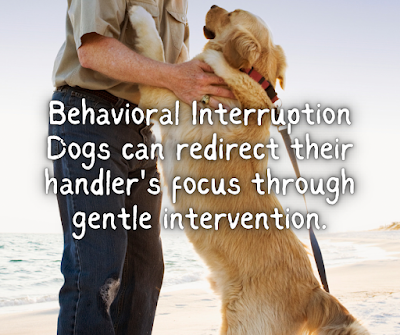 Behavioral Interruption Dogs can redirect their handler's focus through gentle intervention.