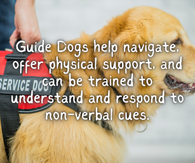 Guide Dogs help navigate, offer physical support, and can be trained to understand and respond to non-verbal cues.