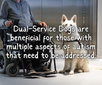 Dual-Service Dogs are beneficial for those with multiple aspects of autism that need to be addressed.