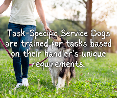 Task-Specific Service Dogs are trained for tasks based on their handler's unique requirements.