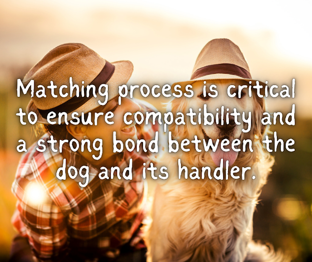 Matching process is critical to ensure compatibility and a strong bond between the dog and its handler.