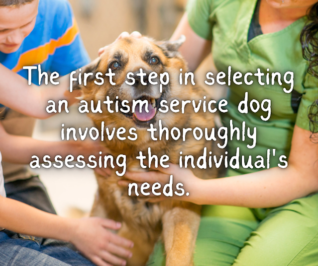 The first step in selecting an autism service dog involves thoroughly assessing the individual's needs.