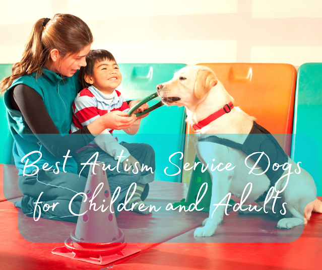 Best Autism Service Dogs