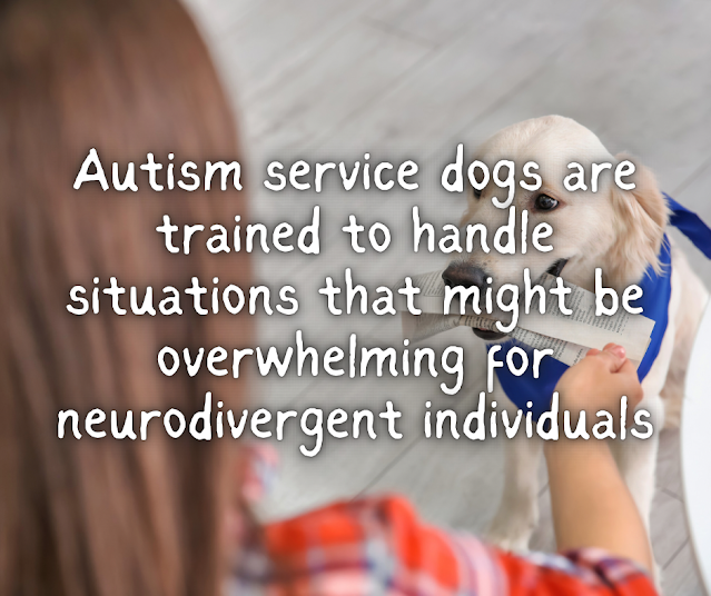 Autism service dogs are trained to handle situations that might be overwhelming for neurodivergent individuals