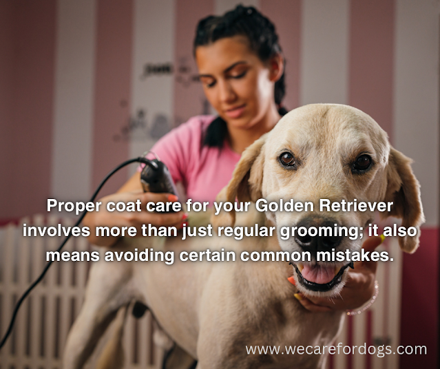 Proper coat care for your Golden Retriever involves more than just regular grooming; it also means avoiding certain common mistakes.